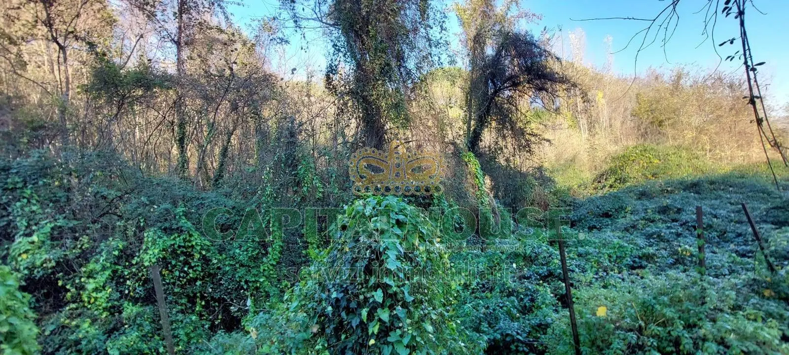 Immagine per Terreno Agricolo in vendita a Ottaviano  