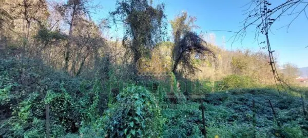 Terreno Agricolo via, Ottaviano