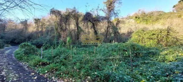 Terreno Agricolo via, Ottaviano