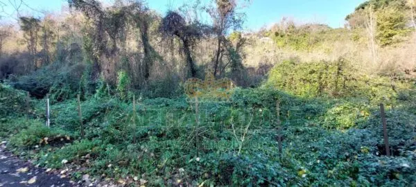 Terreno Agricolo via, Ottaviano