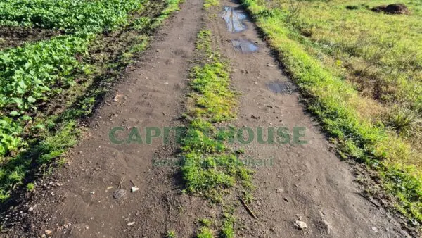 Terreno Agricolo via, Marcianise