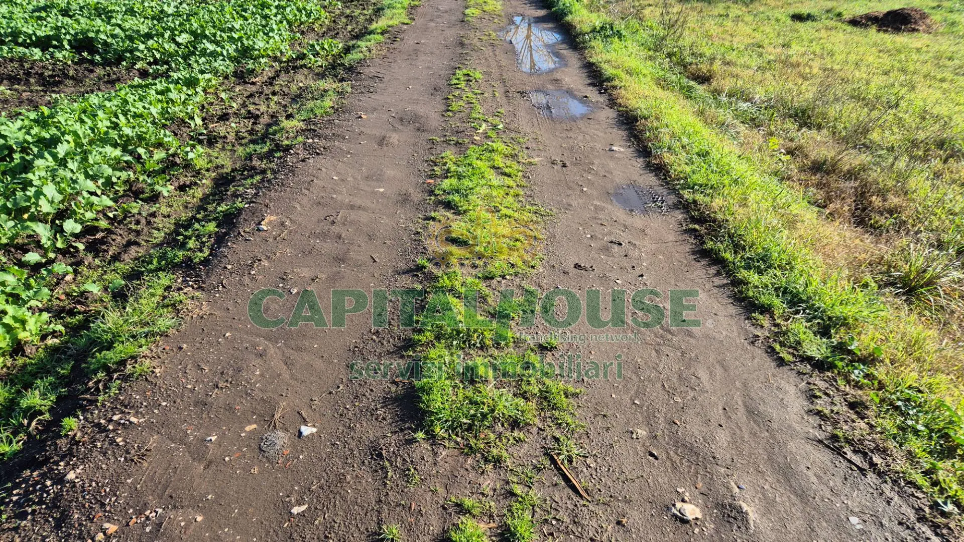 Immagine per Terreno Agricolo in vendita a Marcianise  