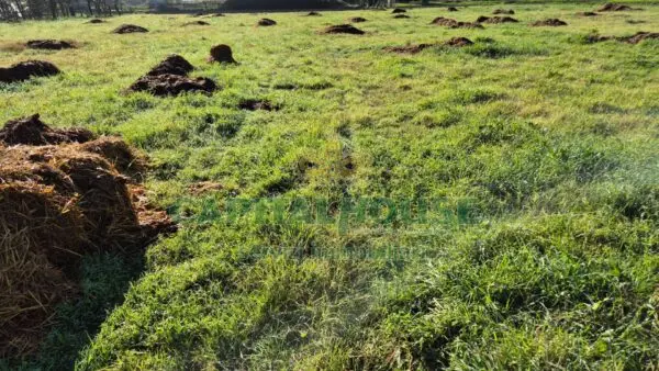 Terreno Agricolo via, Marcianise