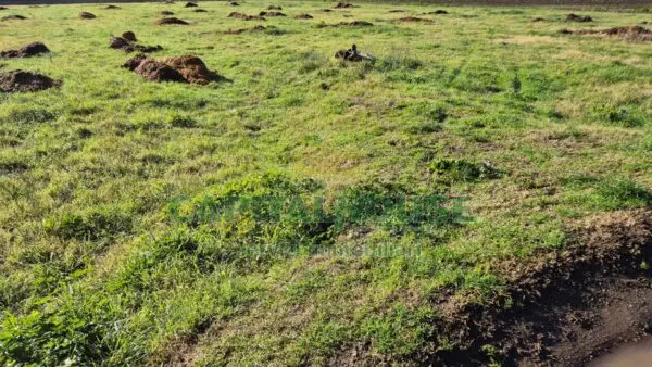 Terreno Agricolo via, Marcianise