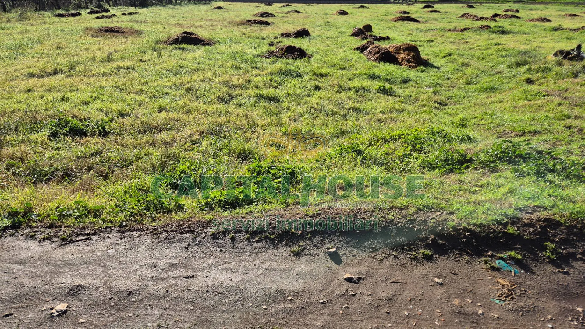 Immagine per Terreno Agricolo in vendita a Marcianise  