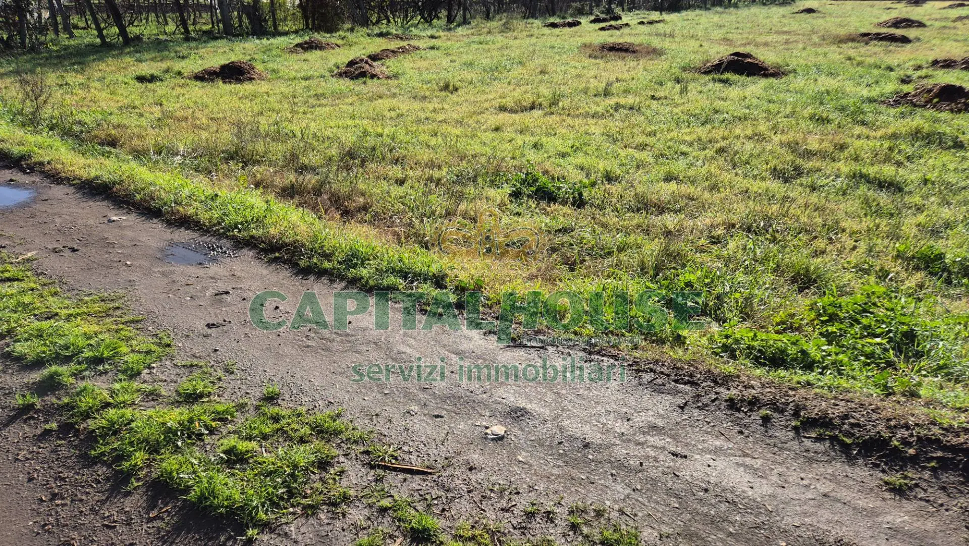 Immagine per Terreno Agricolo in vendita a Marcianise  