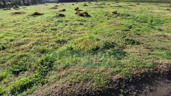 Terreno Agricolo via, Marcianise