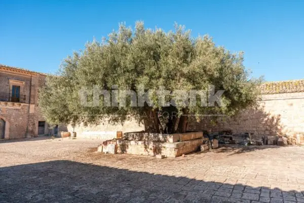 Rustico/Casale via Contrada Scalonazzo Snc, Ragusa