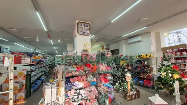 Locale Commerciale via, San Tammaro