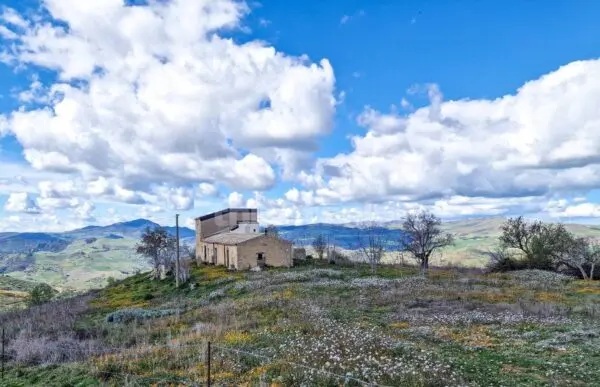 Rustico/Casale via Contrada Pacinosi Snc, Villarosa