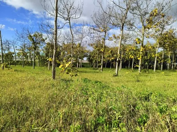 Casa Indipendente via Località Nuracesus, Nuraminis