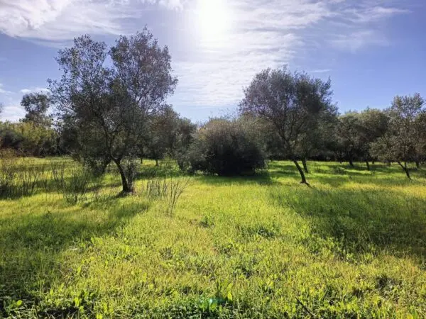 Casa Indipendente via Località Nuracesus, Nuraminis
