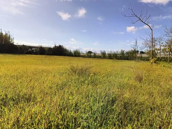 Casa Indipendente via Località Nuracesus, Nuraminis