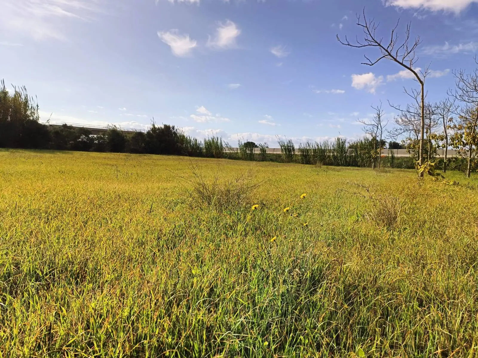 Immagine per Casa indipendente in vendita a Nuraminis Località Nuracesus 