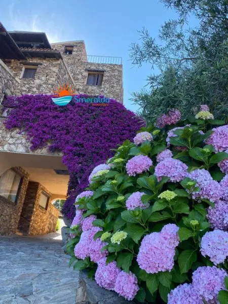 Appartamento via, Olbia