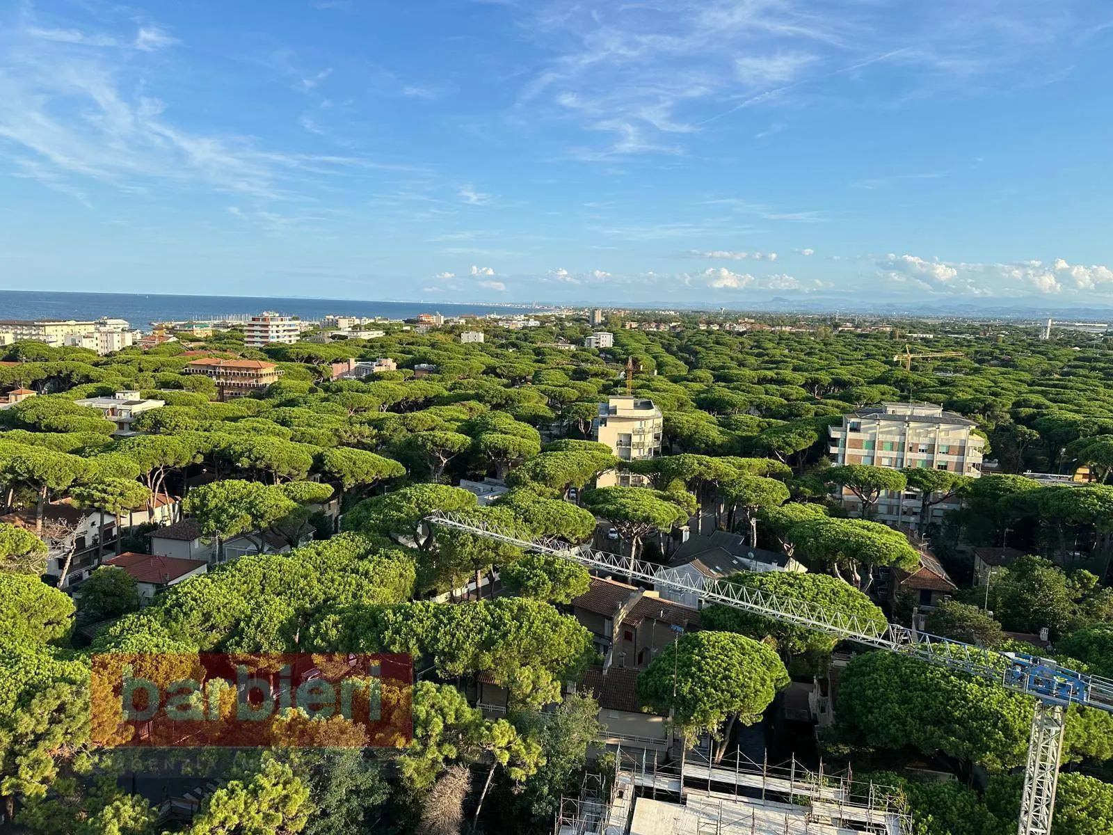 Immagine per Appartamento in affitto a Cervia VIALE ROMAGNA 3