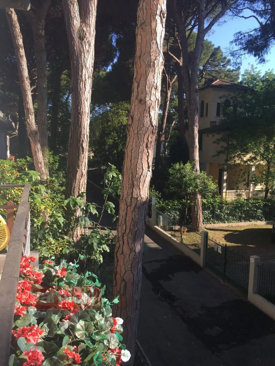 Immagine per Appartamento in affitto a Cervia via corridoni 5