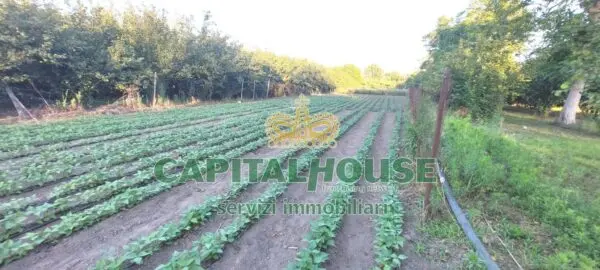 Terreno Agricolo via, Ottaviano