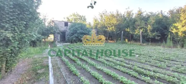 Terreno Agricolo via, Ottaviano