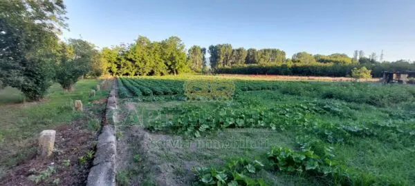 Terreno Agricolo via, Ottaviano