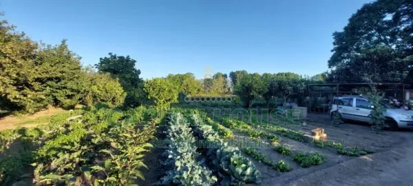 Terreno Agricolo via, Ottaviano
