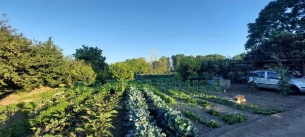 Terreno Agricolo via, Ottaviano