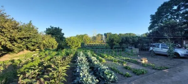 Terreno Agricolo via, Ottaviano