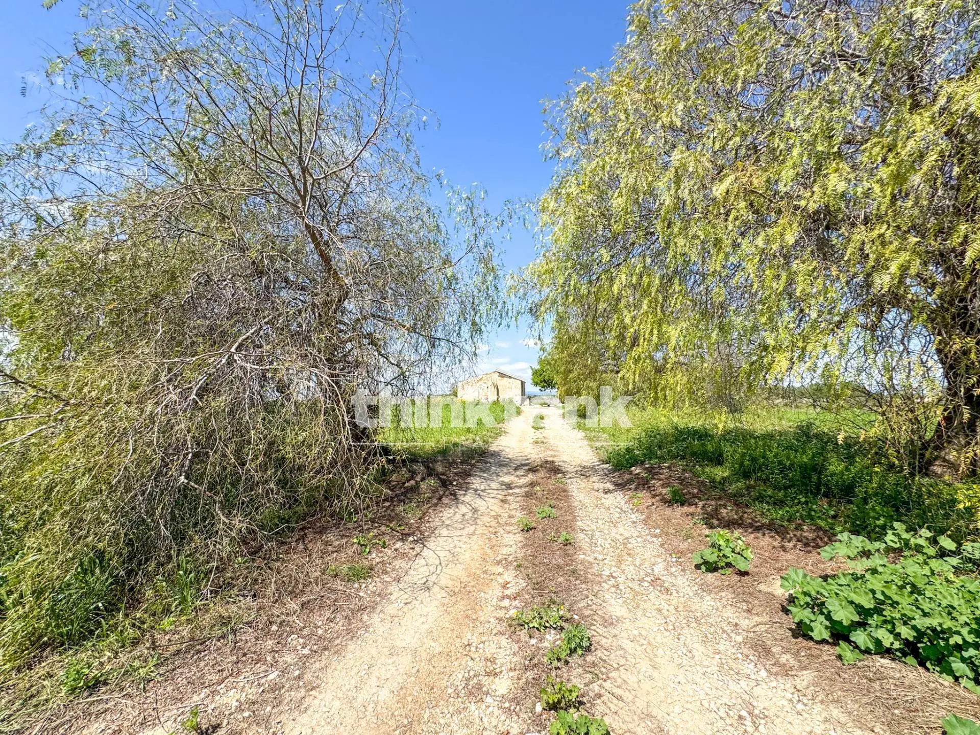 Immagine per Rustico/Casale in vendita a Noto Contrada Sciubbia 
