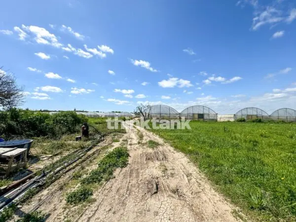 Rustico/Casale via Contrada Sciubbia, Noto