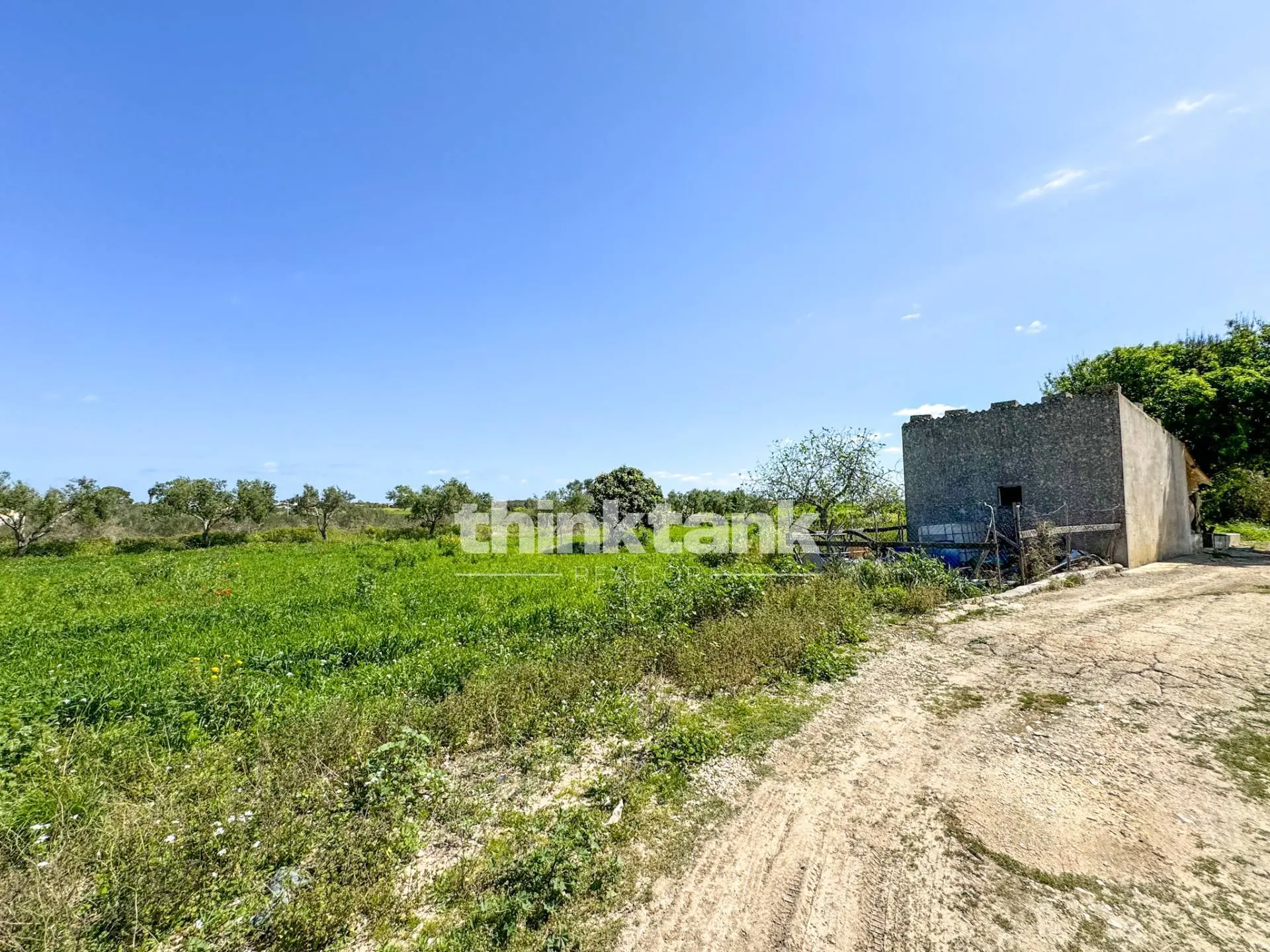 Immagine per Rustico/Casale in vendita a Noto Contrada Sciubbia 