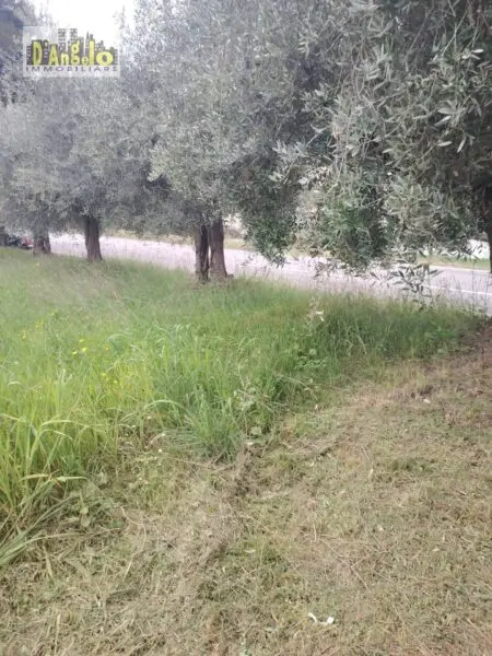 Rustico/Casale via Contrada San Lazzaro 29, Offida