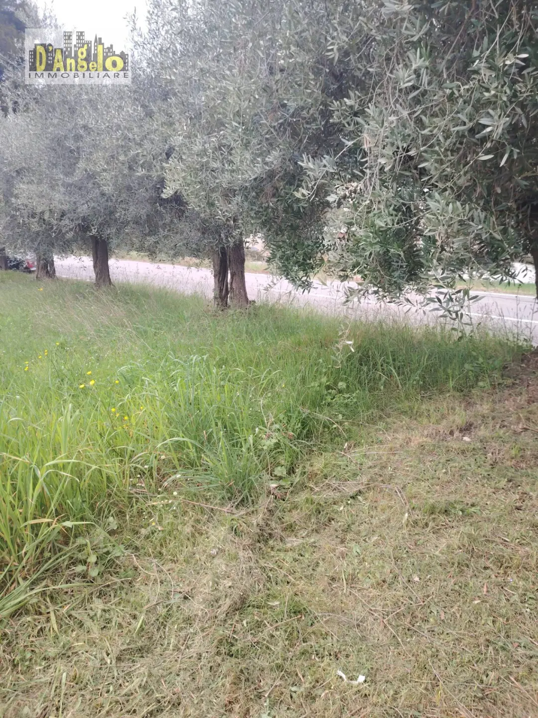 Immagine per Rustico/Casale in vendita a Offida Contrada San Lazzaro 29