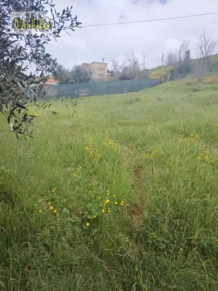Rustico/Casale via Contrada San Lazzaro 29, Offida