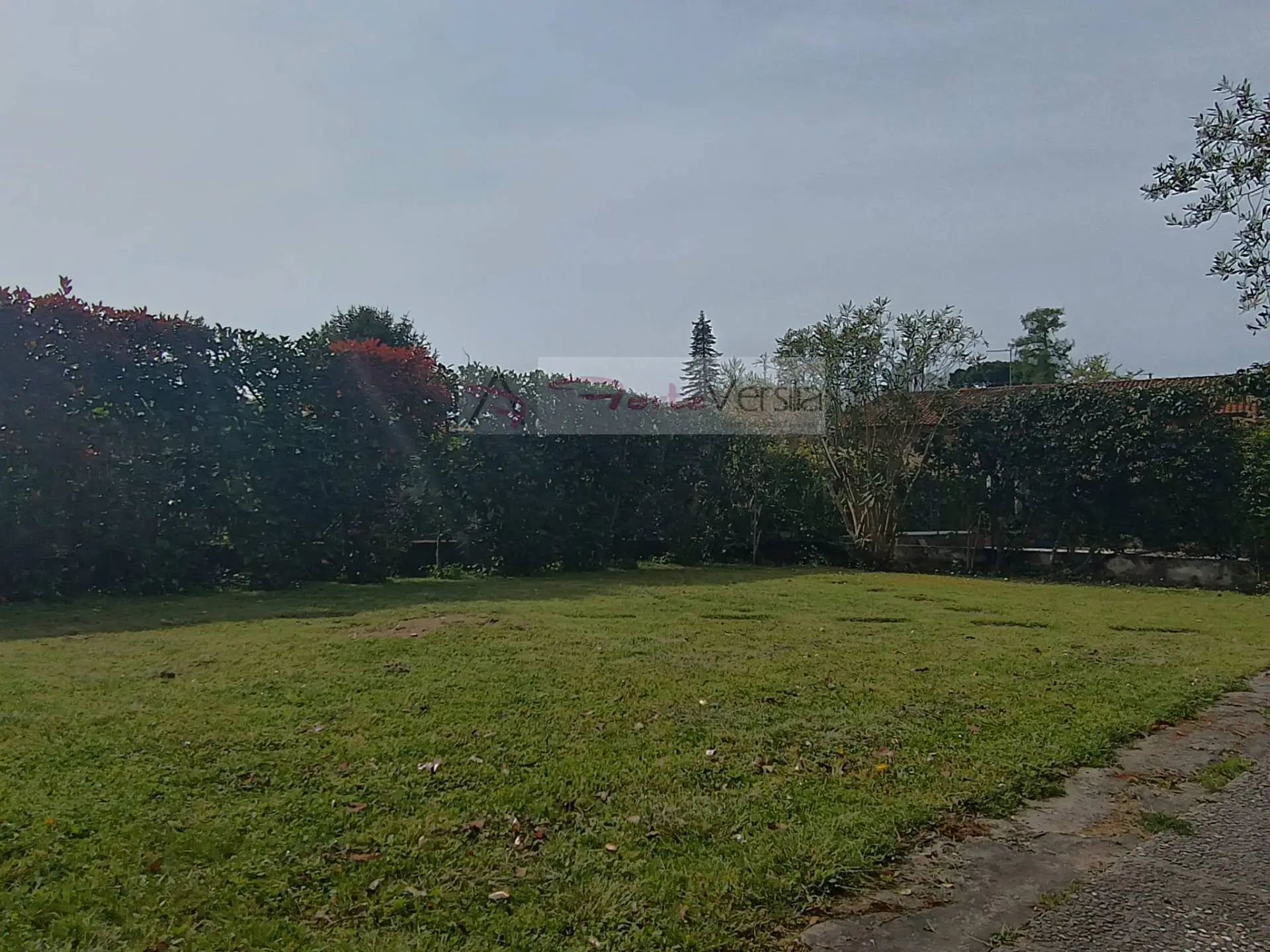 Immagine per Villa in vendita a Pietrasanta  