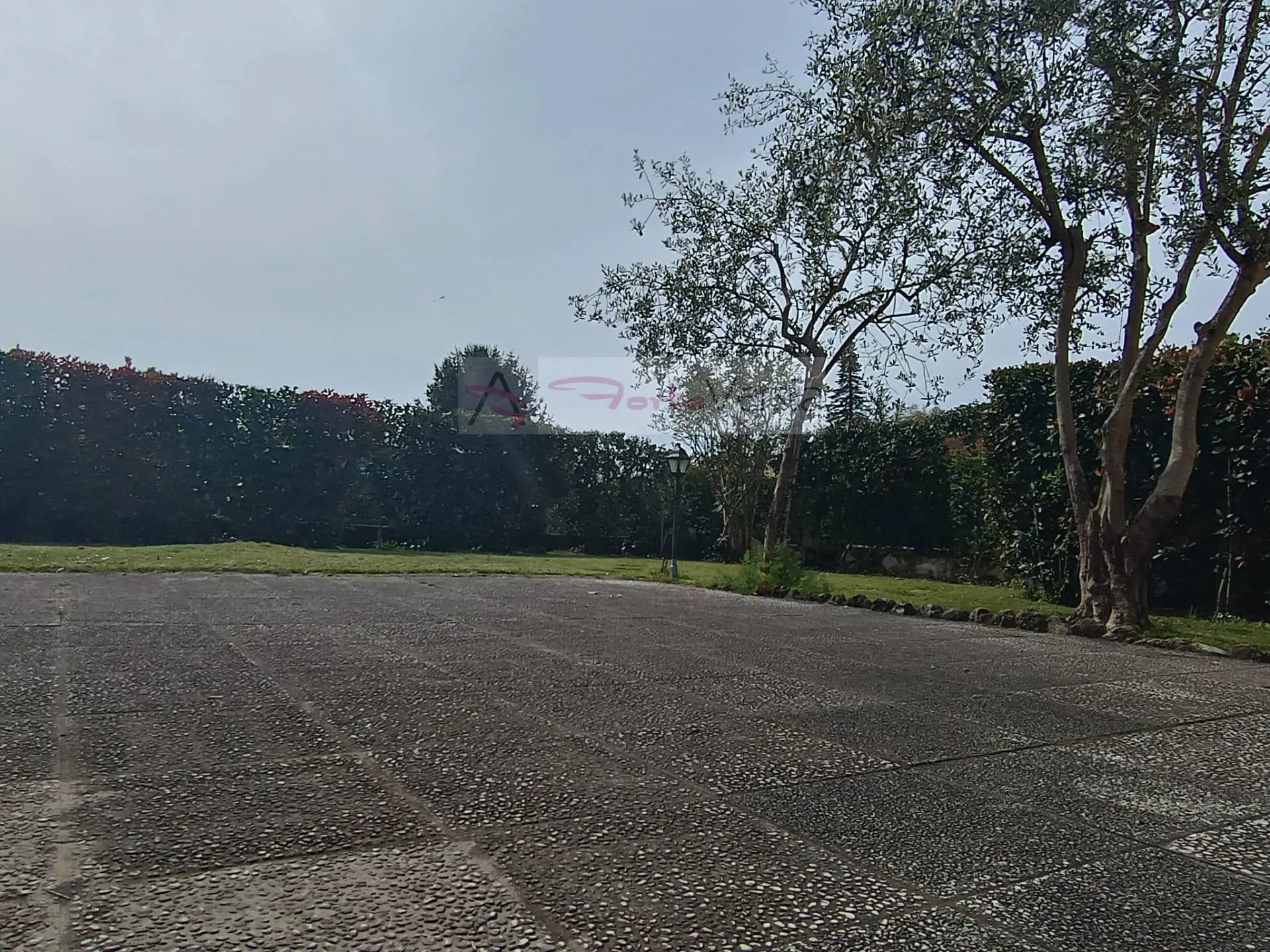 Immagine per Villa in vendita a Pietrasanta  