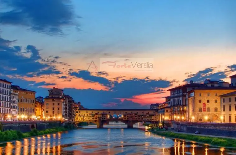 Immagine per Locale Commerciale in vendita a Firenze  