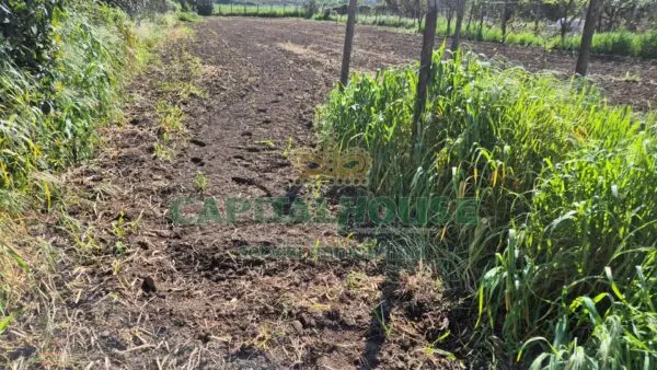 Terreno Agricolo via, San Marco Evangelista
