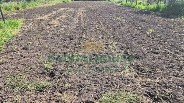 Terreno Agricolo via, San Marco Evangelista