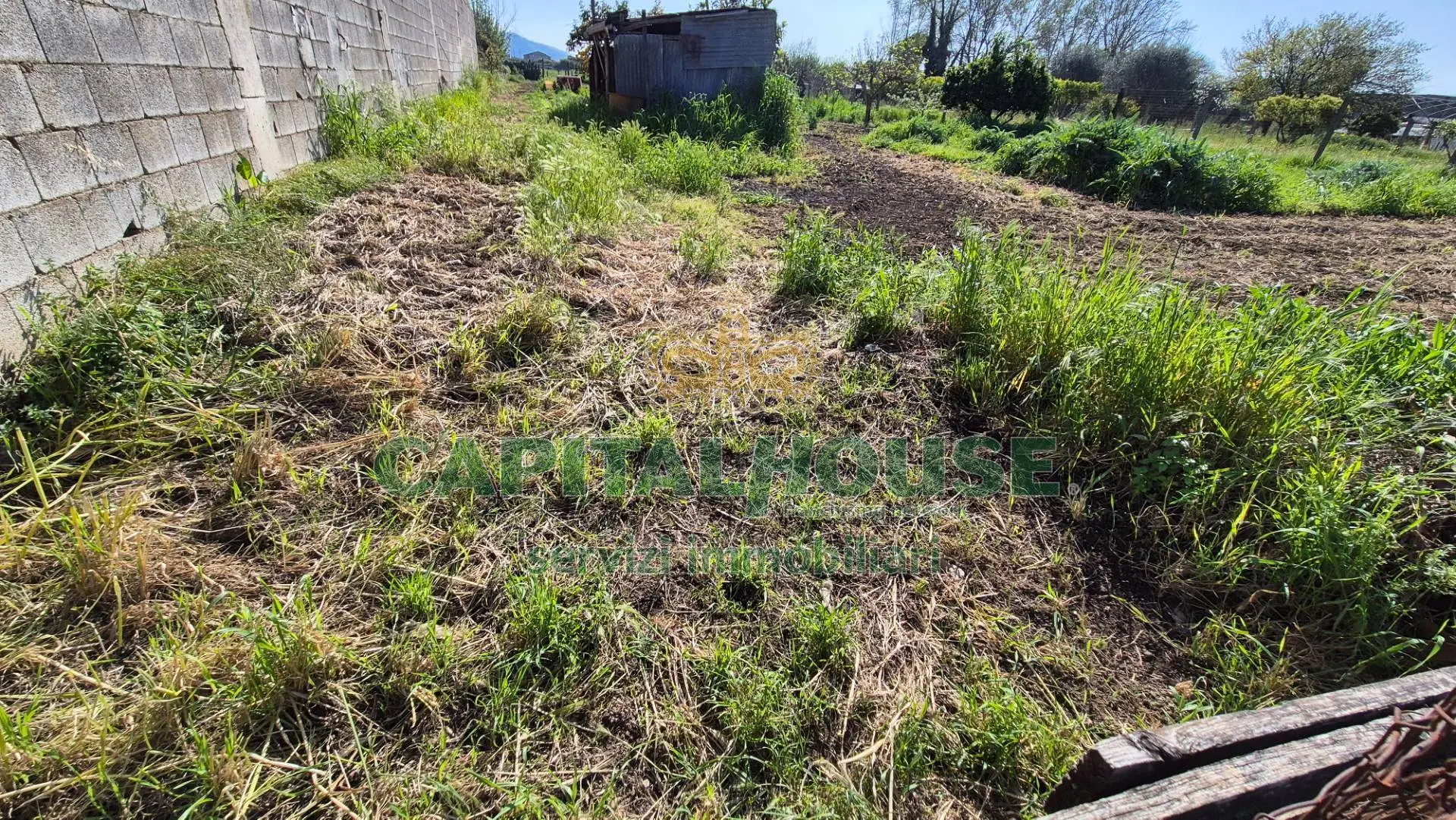 Immagine per Terreno Agricolo in vendita a San Marco Evangelista  