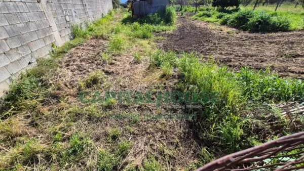 Terreno Agricolo via, San Marco Evangelista
