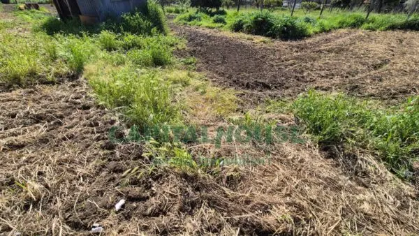 Terreno Agricolo via, San Marco Evangelista