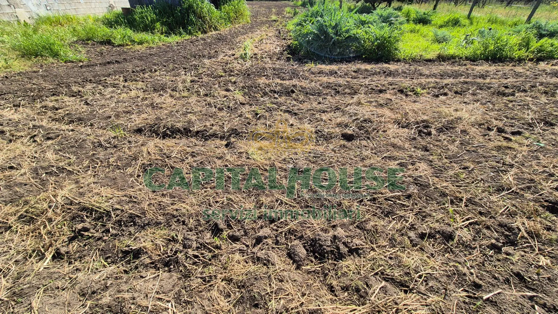 Immagine per Terreno Agricolo in vendita a San Marco Evangelista  