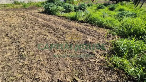 Terreno Agricolo via, San Marco Evangelista