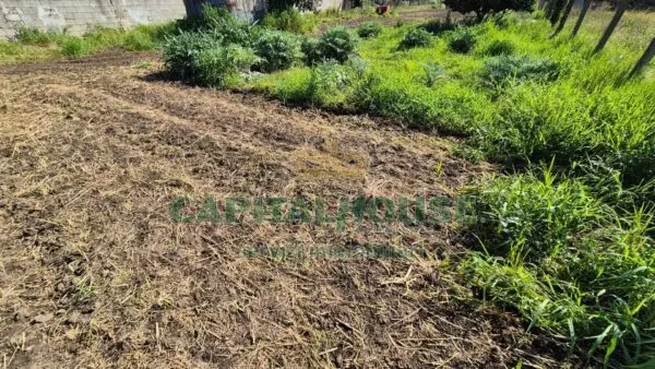 Terreno Agricolo via, San Marco Evangelista