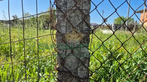 Terreno Agricolo via, San Marco Evangelista