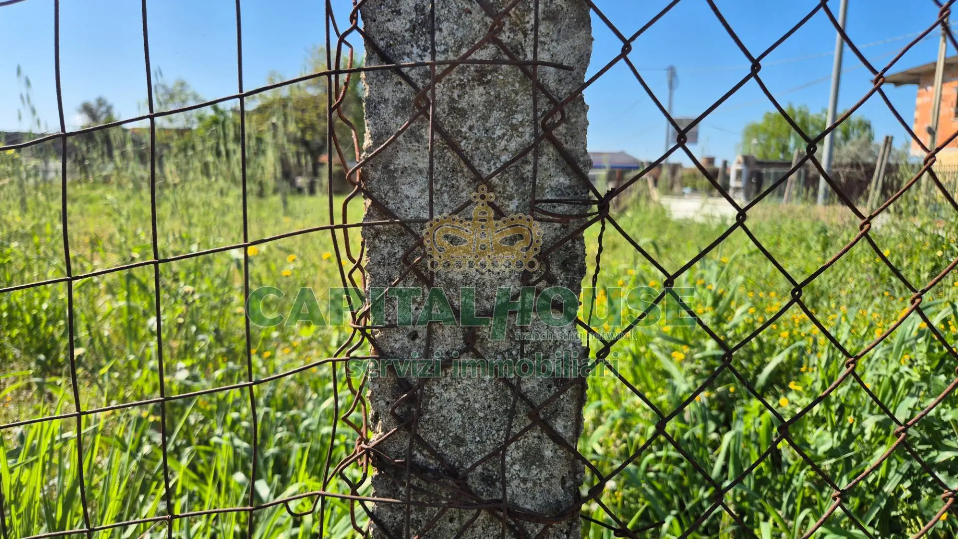 Immagine per Terreno Agricolo in vendita a San Marco Evangelista  