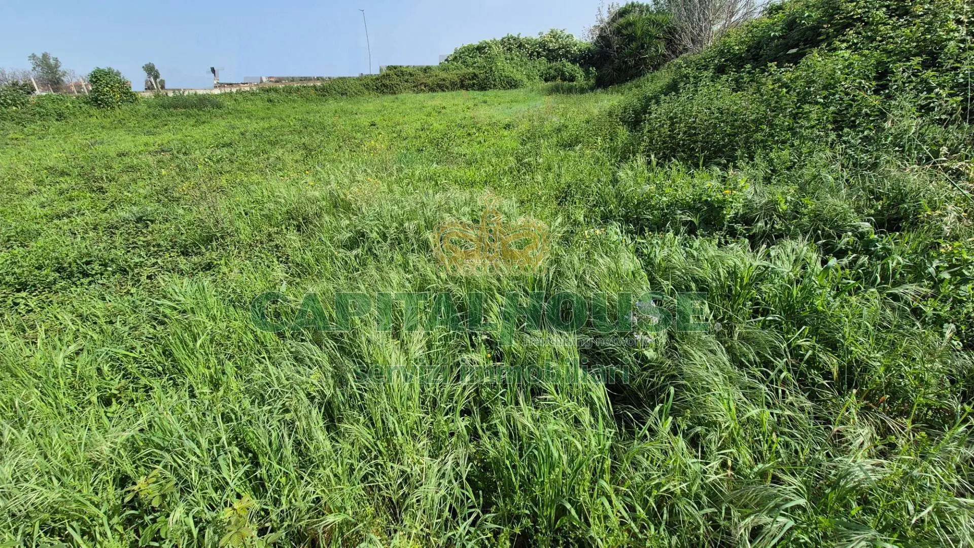 Immagine per Terreno Agricolo in vendita a San Marco Evangelista  
