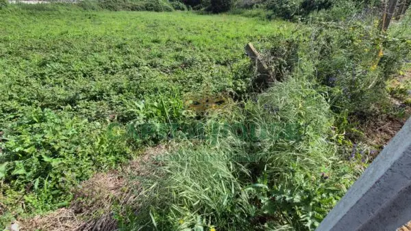 Terreno Agricolo via, San Marco Evangelista
