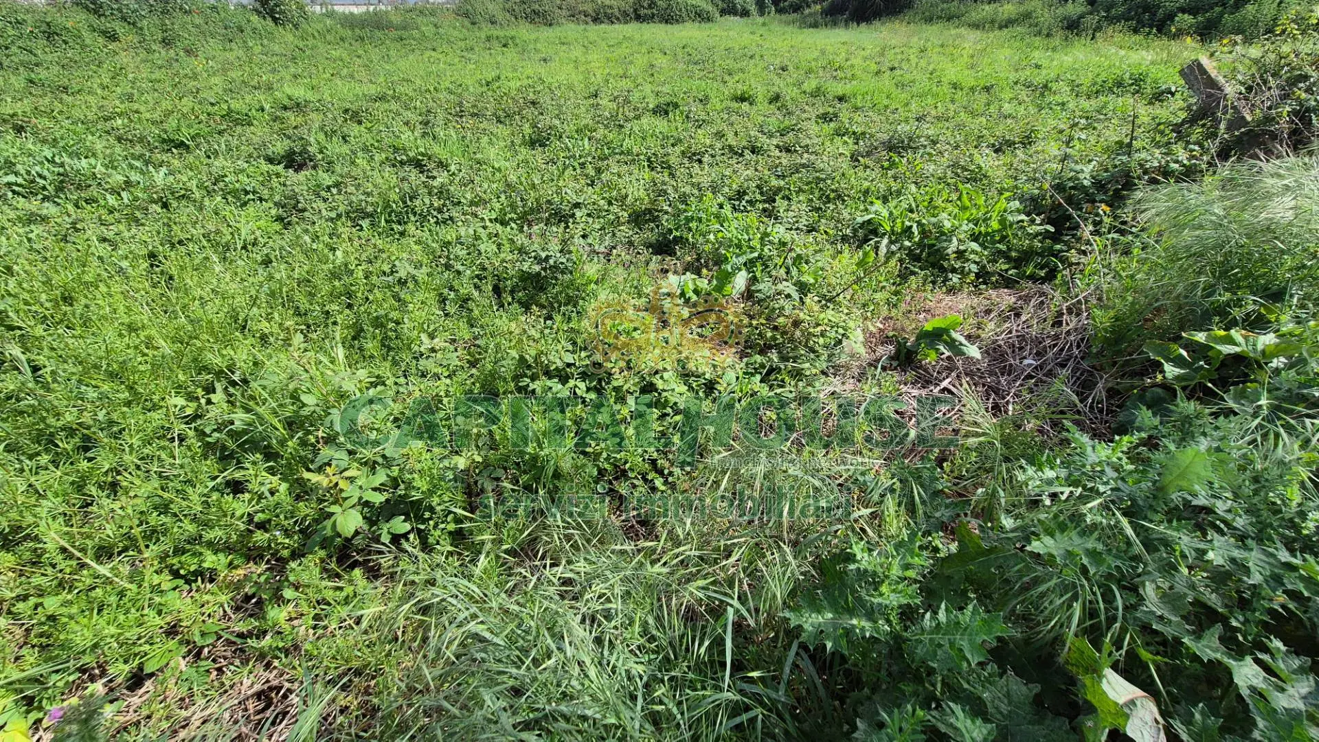 Immagine per Terreno Agricolo in vendita a San Marco Evangelista  