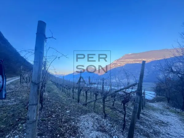 Terreno Agricolo via, Volano